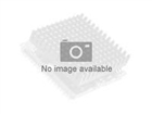 Intel-Prozessoren –  – FRU71Y9037
