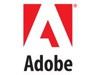 ซอฟต์แวร์กราฟิกและการเผยแพร่ –  – 30002018CA01A12