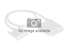 Kable do storage –  – P52416-B21